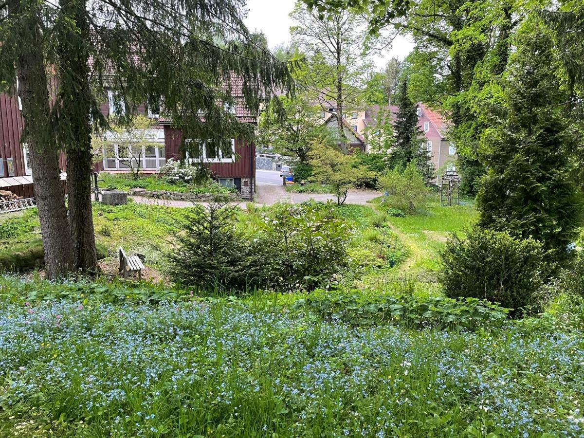 Liebevoll Eingerichtetes Ferienhaus Mit Grossem Garten كلاوستال - زيلرفيلد المظهر الخارجي الصورة