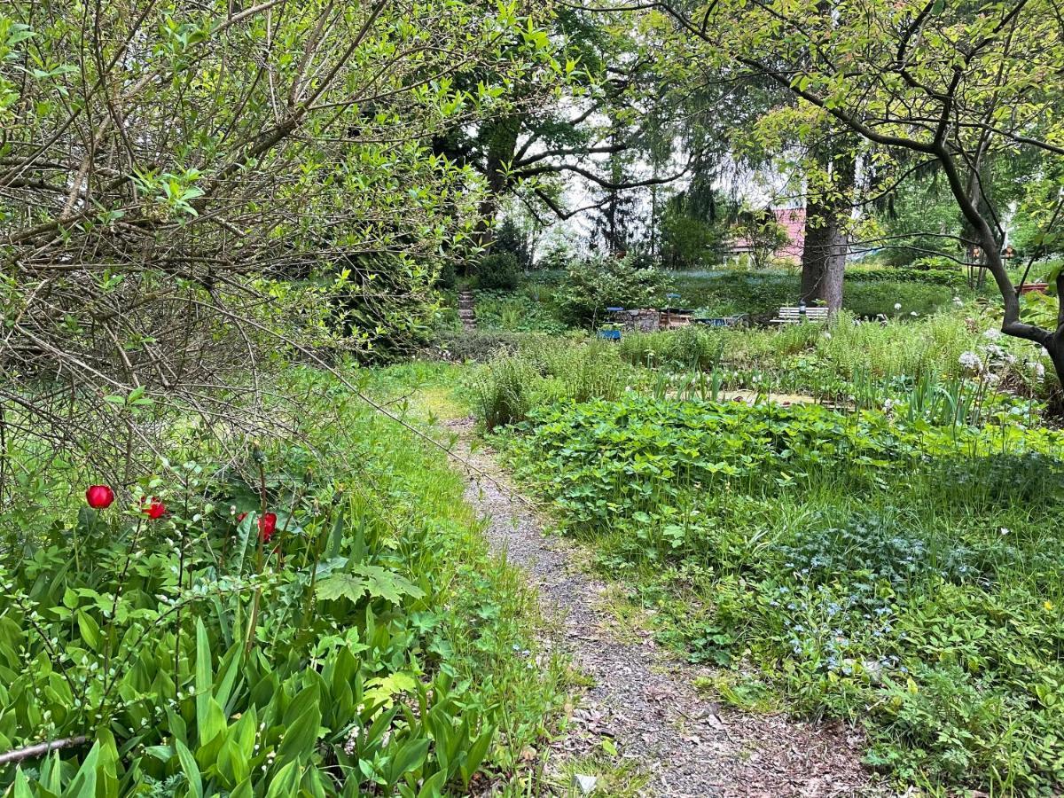 Liebevoll Eingerichtetes Ferienhaus Mit Grossem Garten كلاوستال - زيلرفيلد المظهر الخارجي الصورة